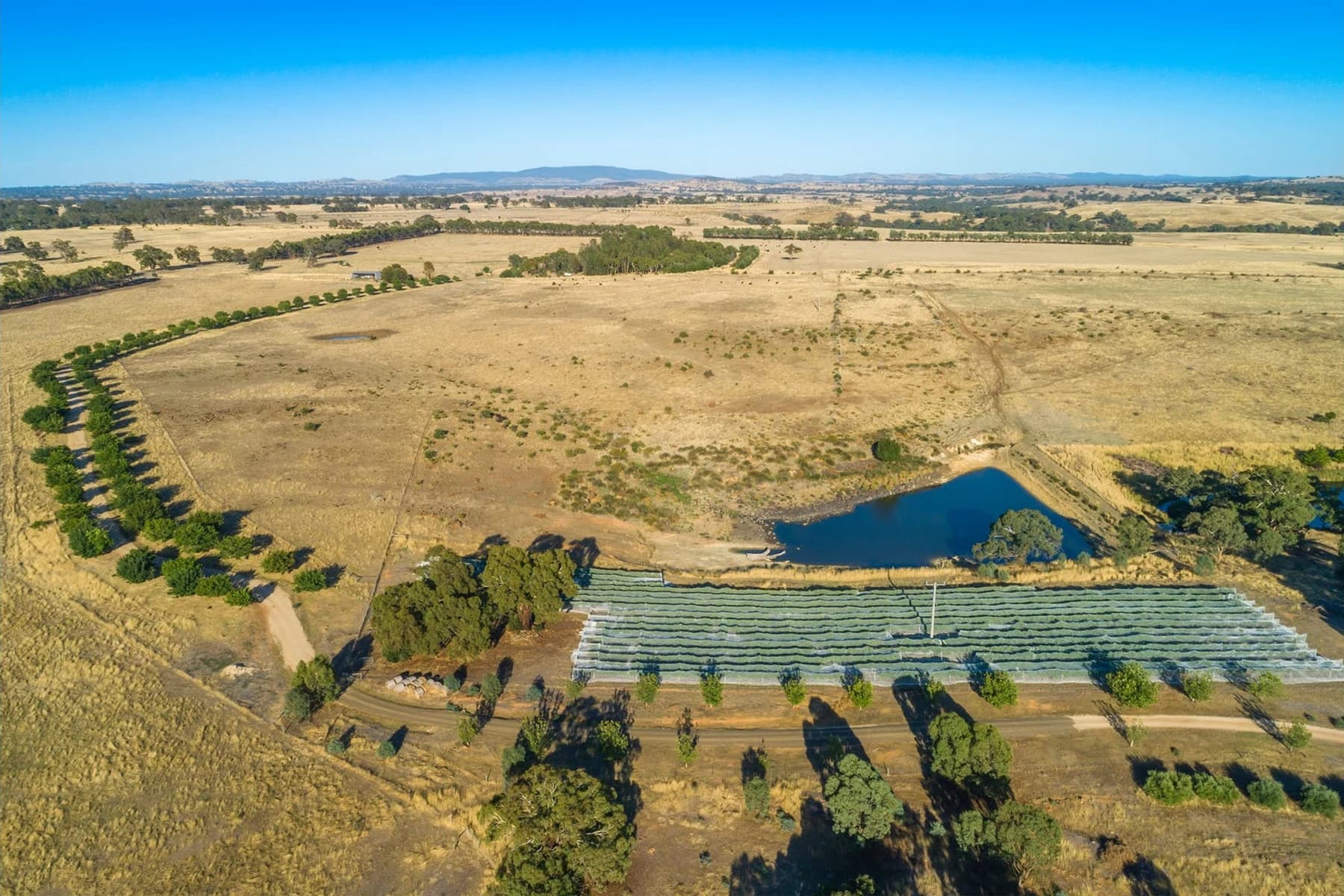 Aerial view of the orchard and dam at Stone Axe